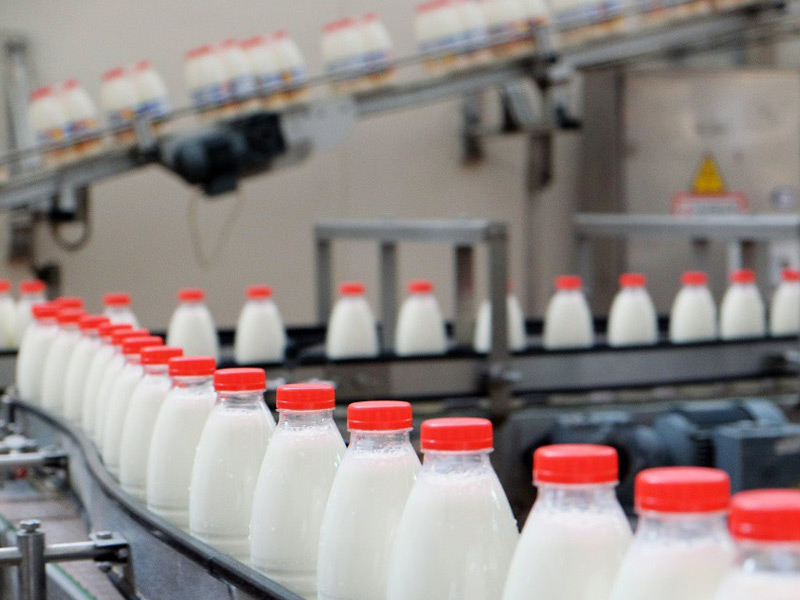 Производство молока в сельхозпредприятиях Рязанской области достигло отметки в 1050 тонн