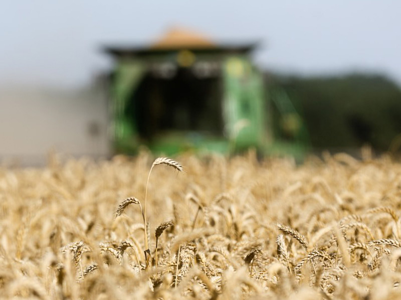 Урожай зерна превысил 100 млн тонн