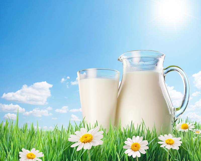 Рязанские аграрии увеличили производство молока на 5 %