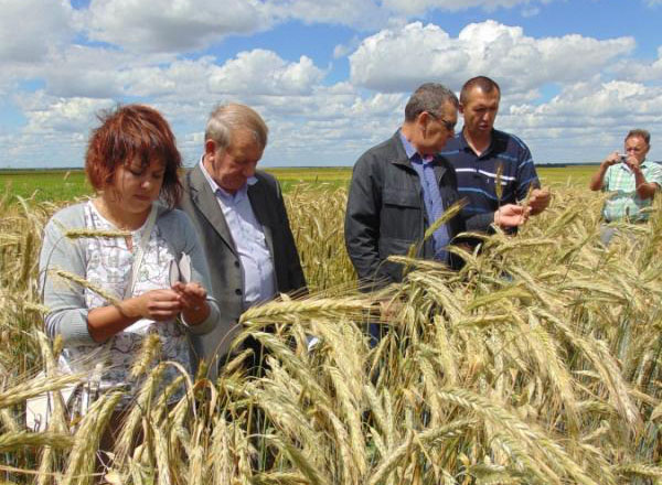 Предприимчивый Селезнев