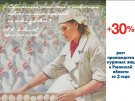 В Рязанской области произведено 725 миллионов куриных яиц