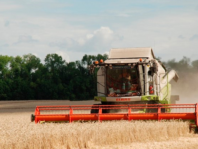 Губернатор Николай Любимов: «Намолот зерна в Рязанской области превысил 2 миллиона тонн! Благодарю наших аграриев за добросовестную и самоотверженную работу»