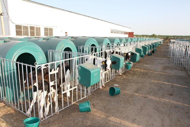 В Рыбновском районе строят новую молочную ферму