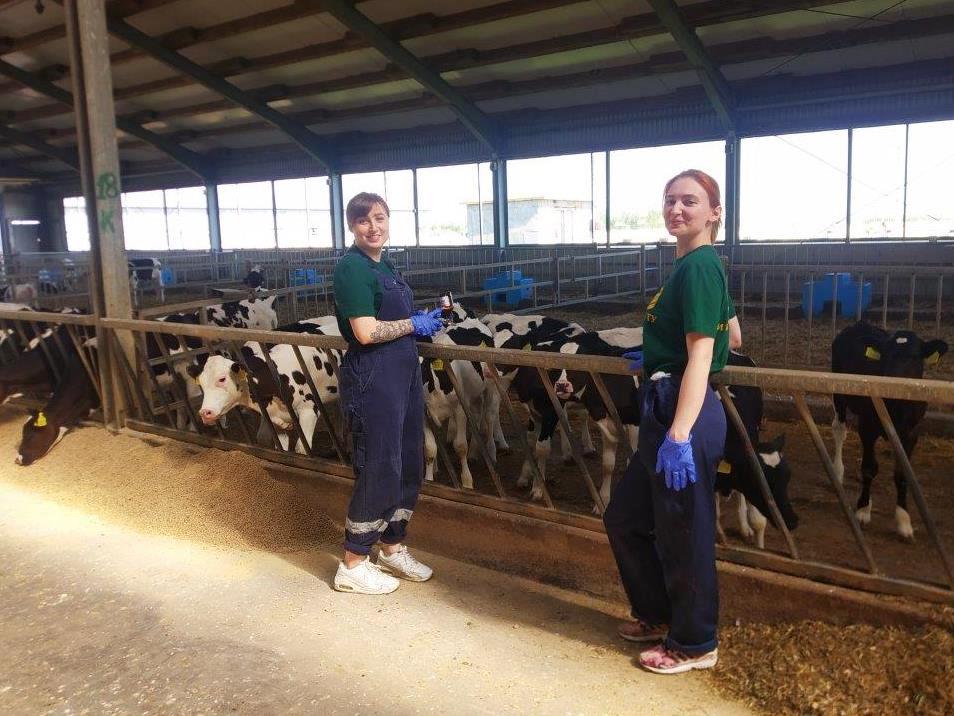 Студенты РГАТУ помогают аграриям Рязанского района