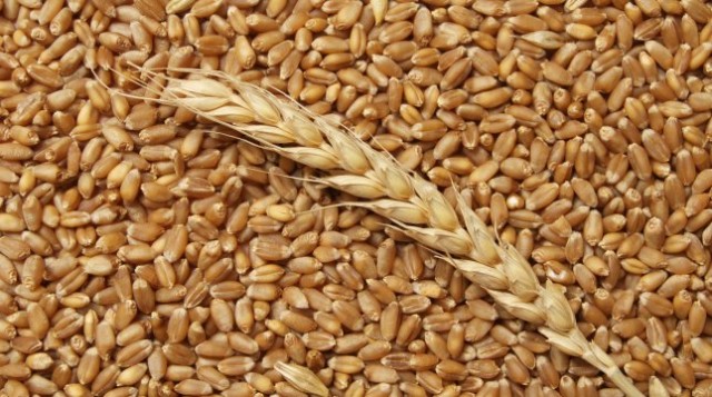 О состоянии рынка зерна в Рязанской области