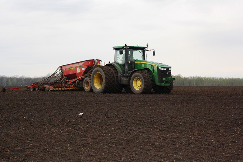 В Рязанской области посеяны более 50% ранних яровых зерновых