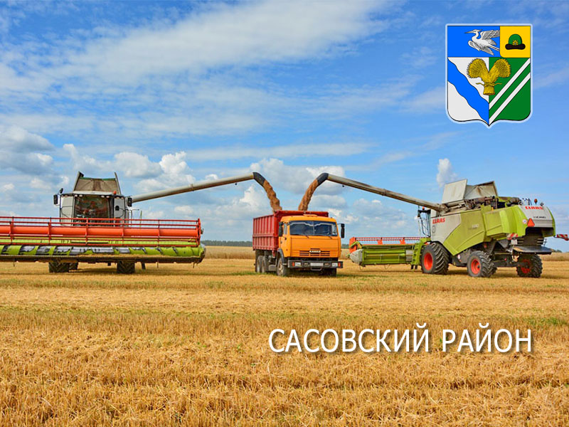 Сасовские аграрии намолотили 100 тысяч тонн зерна! Сасовские аграрии намолотили 100 тысяч тонн зерна!