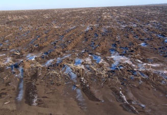 Рязанские аграрии продолжают работу в поле, несмотря на пришедшие холода