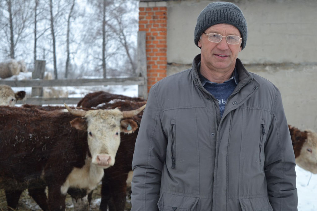 В хозяйстве Спасского района разводят коров абердин-ангусской и герефордской пород