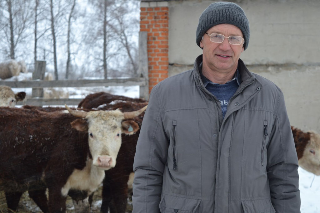 В хозяйстве Спасского района разводят коров абердин-ангусской и герефордской пород В хозяйстве Спасского района разводят коров абердин-ангусской и герефордской пород