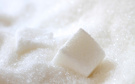 Сотницынский сахарный завод начал сезон переработки сахарной свёклы