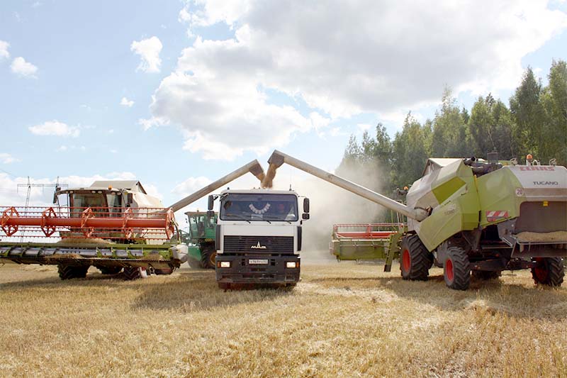 В Рязанской области намолочено около 1400 тыс. тонн зерновых и зернобобовых культур