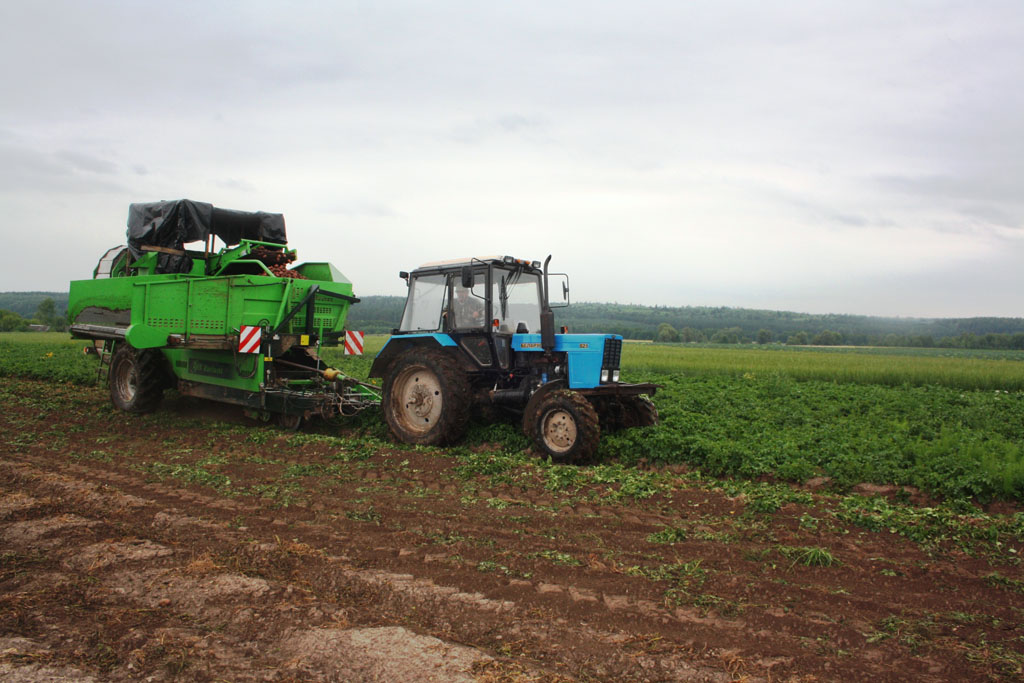 Рязанские аграрии активно убирают урожай картофеля