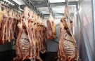 В Михайловском районе открылся новый убойный цех