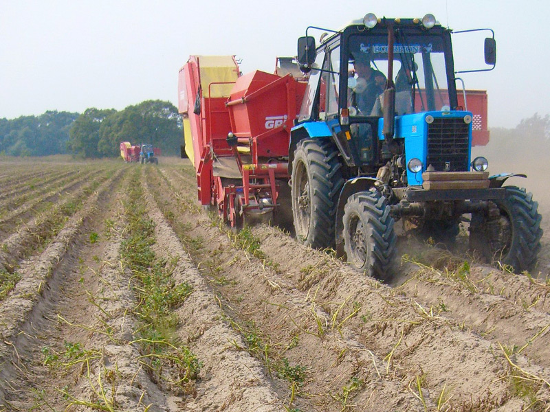Аграрии Рязанской области приступили к уборке картофеля