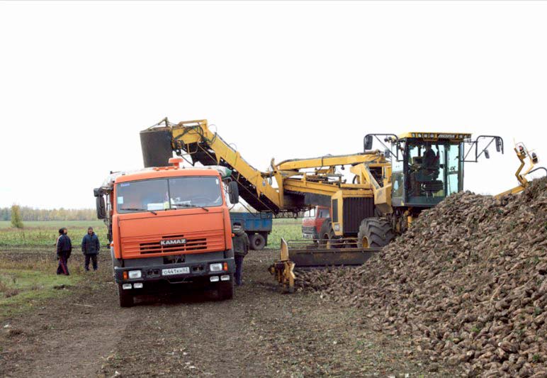 Сотницынский сахарный завод приступил к переработке сахарной свеклы нового урожая