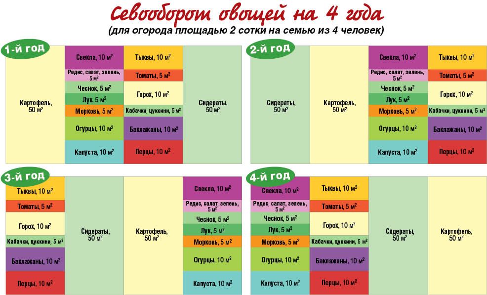 Что сажать на следующий год таблица. Схема севооборота овощных культур. Схема севооборота на дачном участке на 4 года. Севооборот овощей на грядках таблица. Схема чередования культур в севообороте.