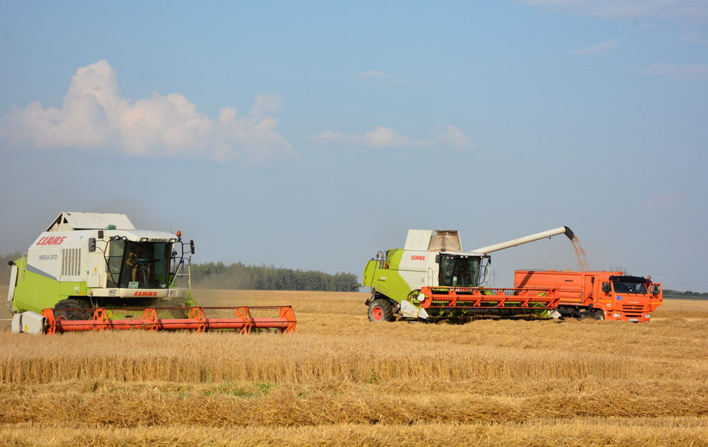 Рязанские аграрии продолжают уборку зерновых, масличных, овощных и кормовых культур