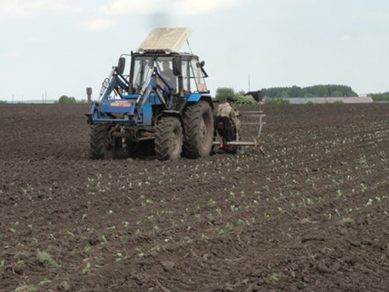 В Рязанской области продолжается сев овощных культур