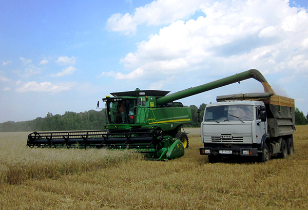 В Рязанской области намолочено более 700 тыс. тонн зерна