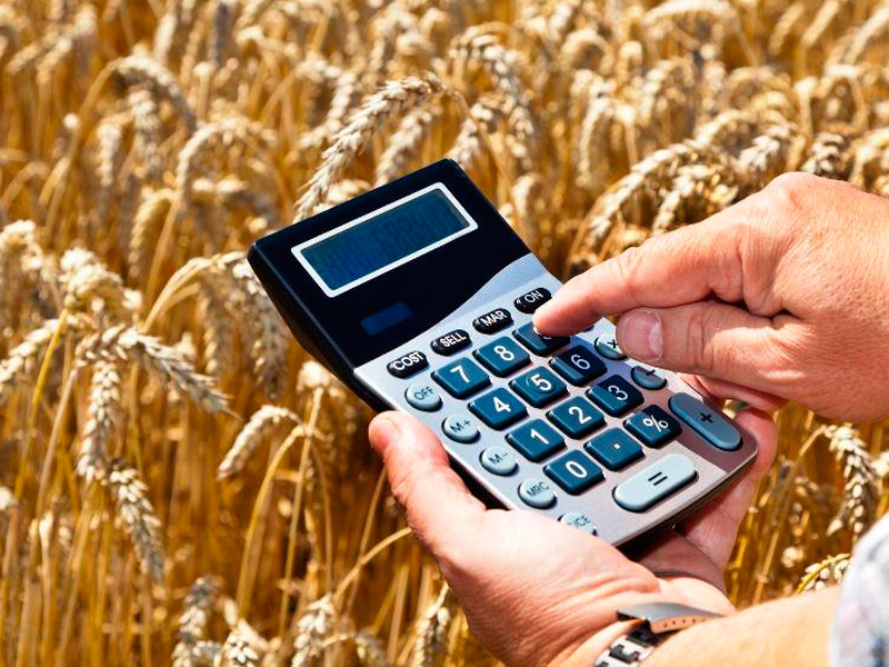 В Рязанской области аграриям перечислены субсидии в объеме 985 миллионов рублей