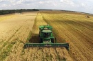 Первым в Путятинском районе закончило уборку зерновых фермерское хозяйство Валерия Скрипкина