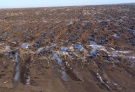 Рязанские аграрии продолжают работу в поле, несмотря на пришедшие холода