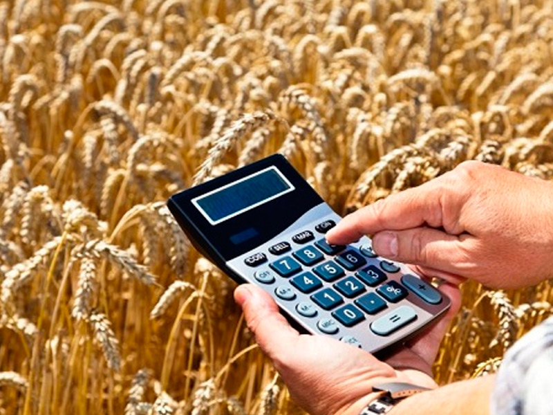 В Рязанской области аграриям перечислены субсидии в объеме 800 миллионов рублей