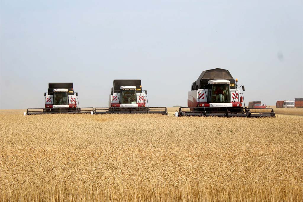 Аграрии Рязанской области намолотили 2 миллиона тонн зерна