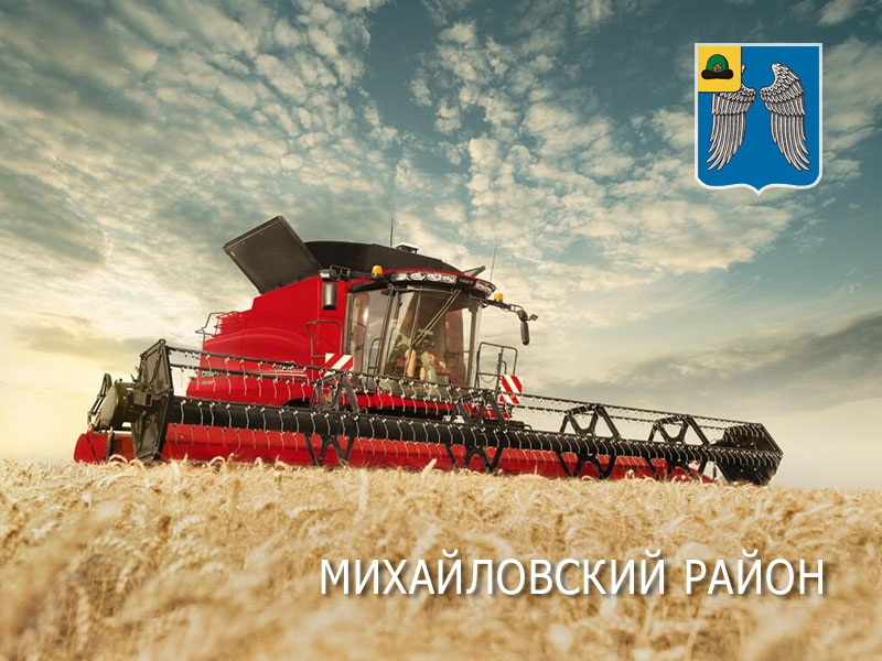 Михайловские хлеборобы намолотили более 200 тысяч тонн зерна