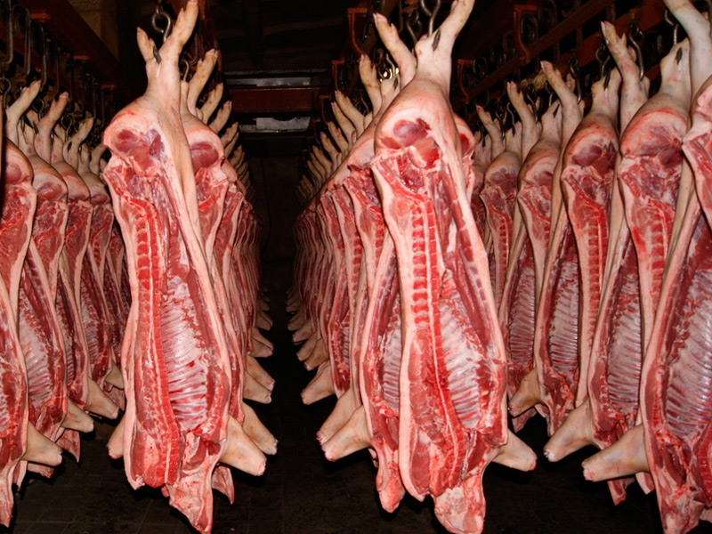 Наиболее интенсивно в течение 2017 года наращивали производство мяса свиноводческие предприятия Рязанской области