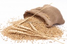 Обзор ситуации на рынке зерна в Рязанской области