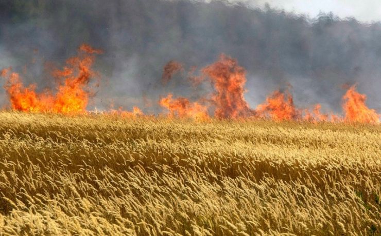 Стали известны подробности пожара в Захаровском районе