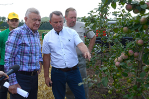 О развитии садоводства и овощеводства в Рязанской области