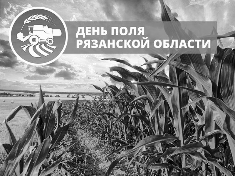 День поля Рязанской области – 2017 День поля Рязанской области – 2017