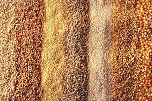 Обзор зернового рынка: в Рязанской области, в России, в мире