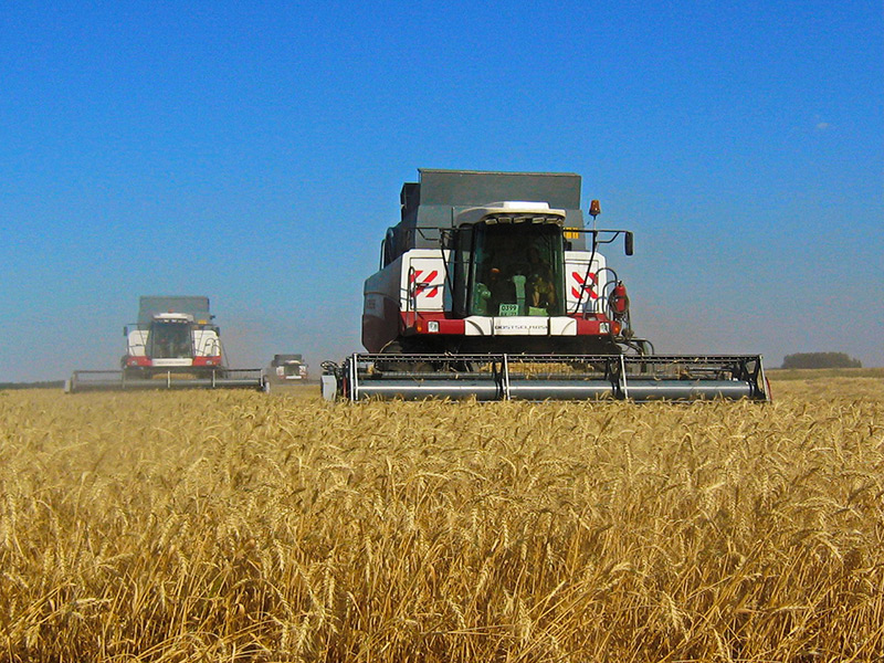 Поздравляем аграриев Александро-Невского и Милославского районов с намолотом 100 тысяч тонн зерна!