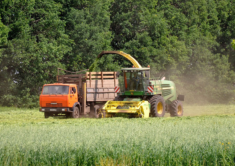 В Рязанской области продолжается заготовка кормов для животноводства