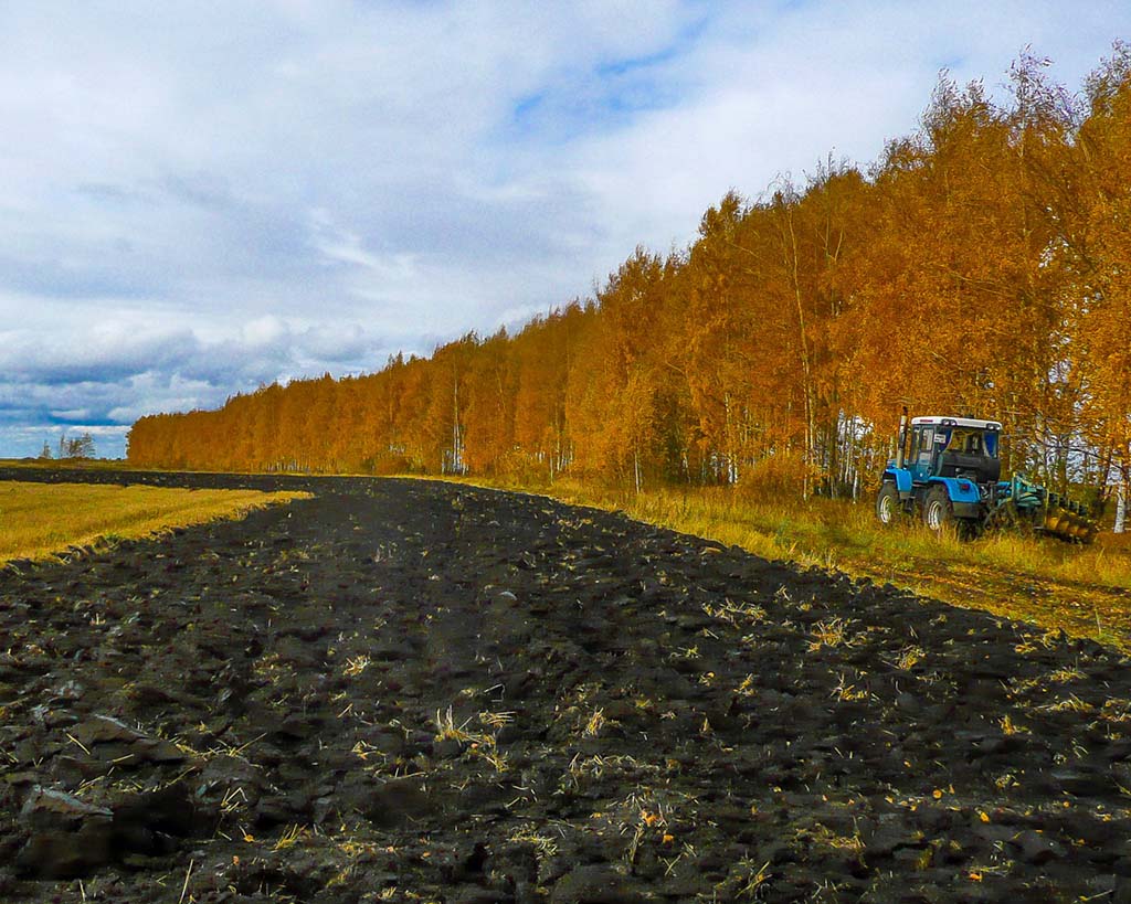 В Рязанской области уборочная кампания близка к завершению В Рязанской области уборочная кампания близка к завершению