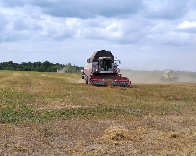 Рязанские аграрии убирают рекордный урожай льна