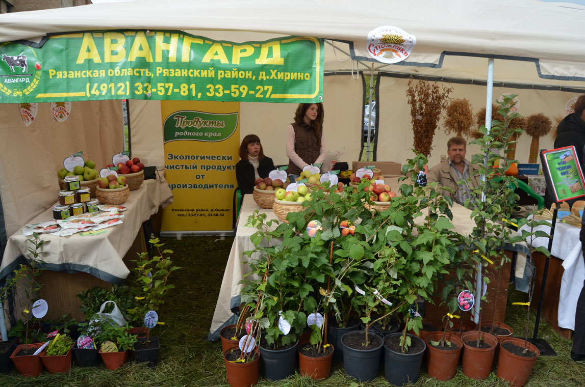 Где В Рязани Купить Рассаду