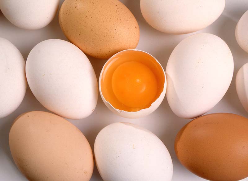 В Рязанской области растет производство мяса и куриных яиц