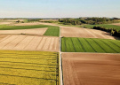 Рязанских аграриев приглашают на Международный научный агрохимический форум «Агрополигон 2021»