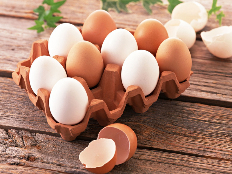 Рязанская область: за 2016 год произведено более 787 миллионов яиц