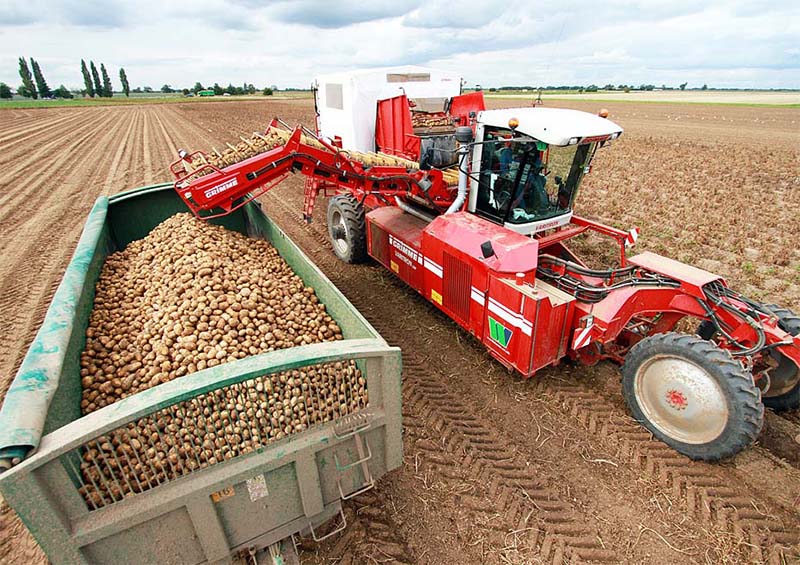 Губернатор Рязанской области Олег Ковалев поздравил картофелеводов региона с достижением высоких результатов в уборке урожая