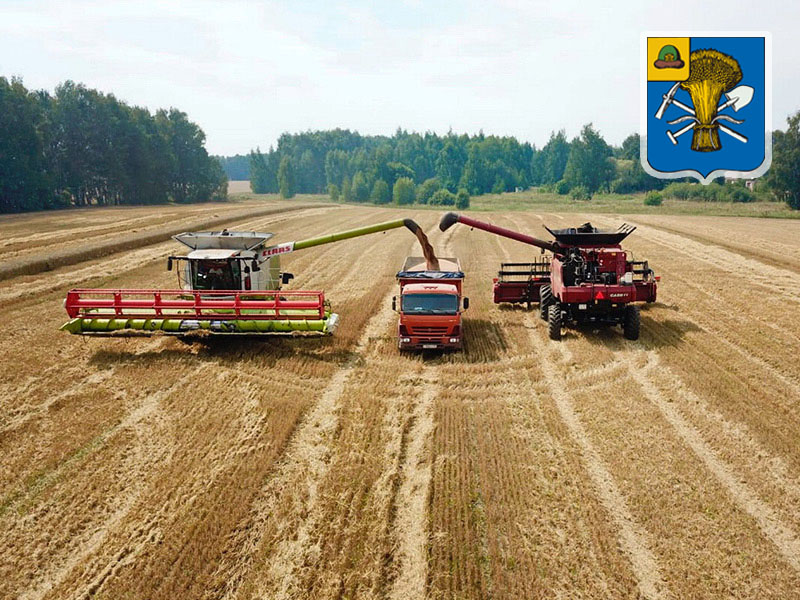 В Милославском районе намолочено уже свыше 200 тысяч тонн зерна