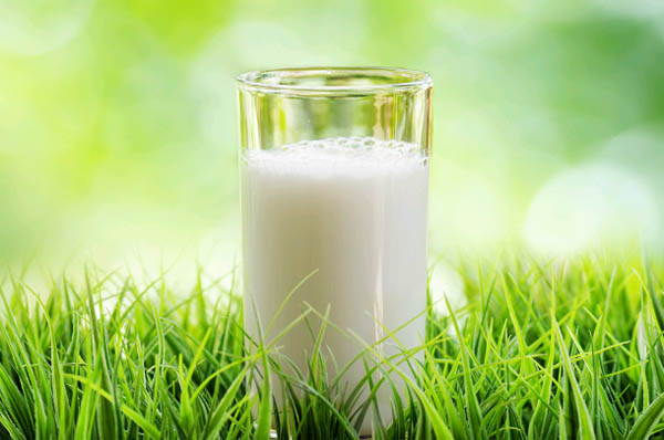 Закупочные цены на сырое молоко в Рязанской области в 2016 году были стабильными