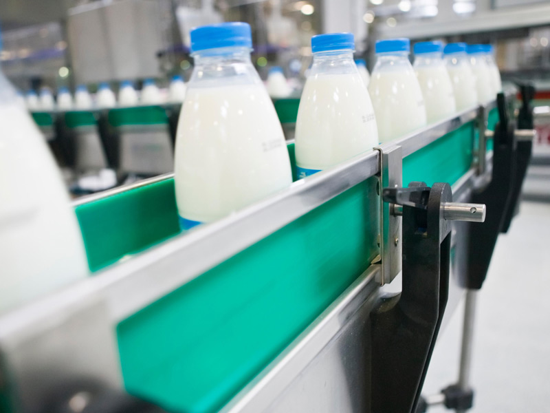 В молочном животноводстве Рязанской области продолжается рост производства