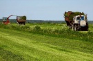 В Рязанской области заготовлено 134 тыс. тонн грубых и 16 тыс. тонн сочных кормов