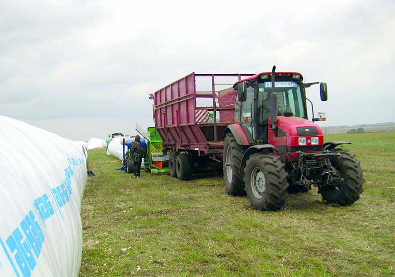 Заготовка кормов: на хранение заложено более 65% необходимого для зимовки силоса